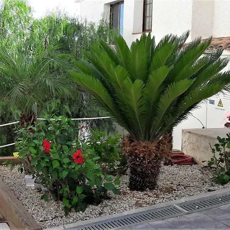 Altea Olivos G Villa Exterior photo